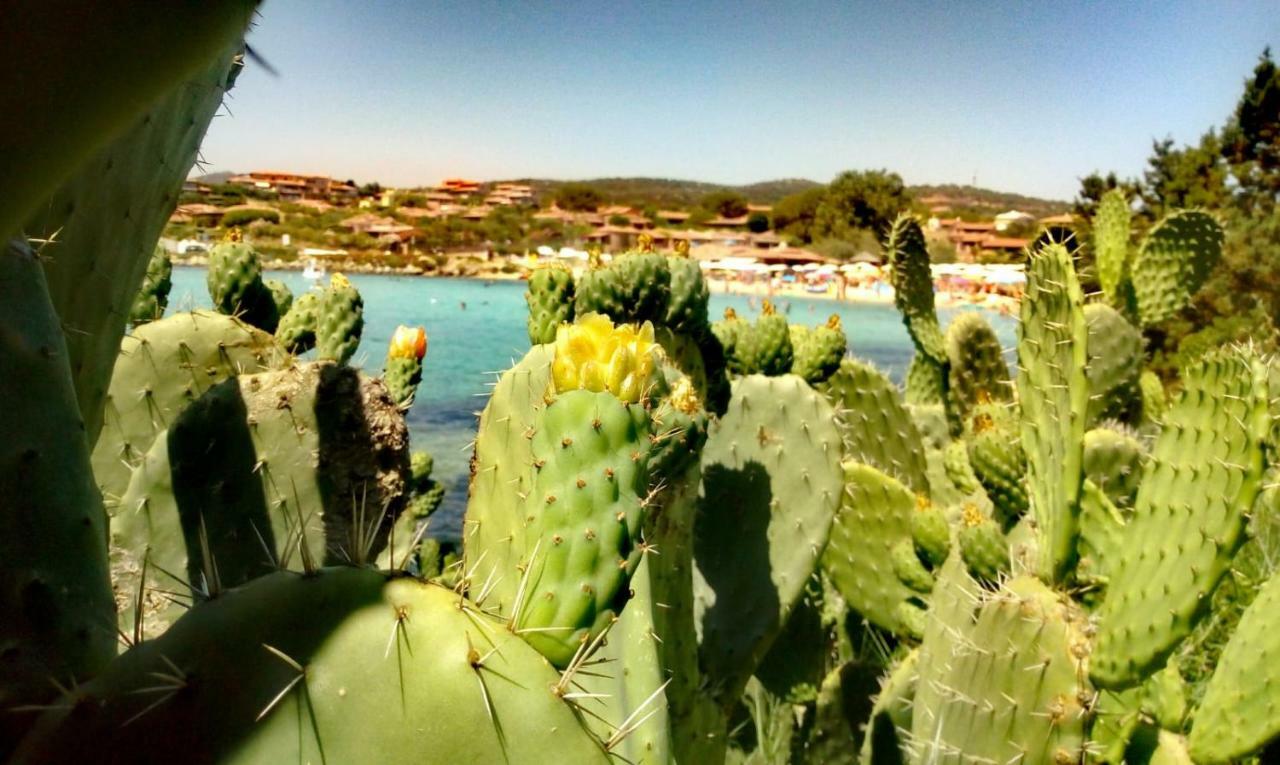 Le Stanze Del Mare Aparthotel Golfo Aranci Exterior photo